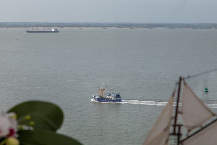 Foto 4 van Boulevard Bankert 870