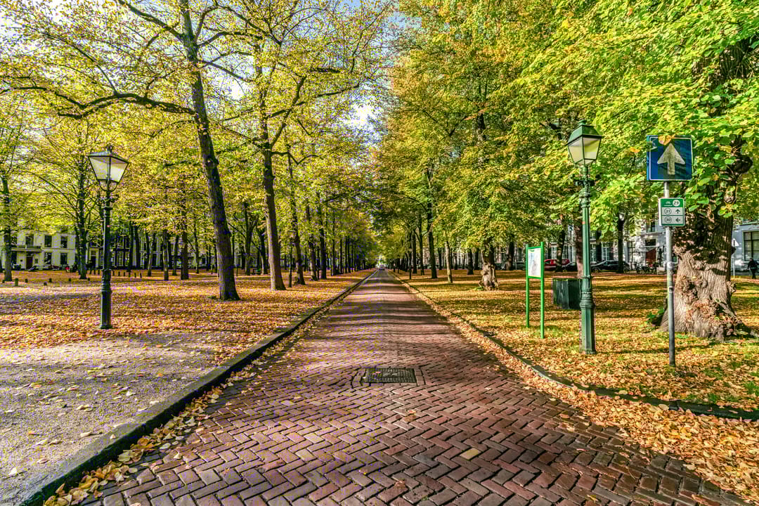 Foto 41 van Denneweg 25-D