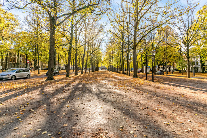 Bekijk foto 42 van Denneweg 25-D