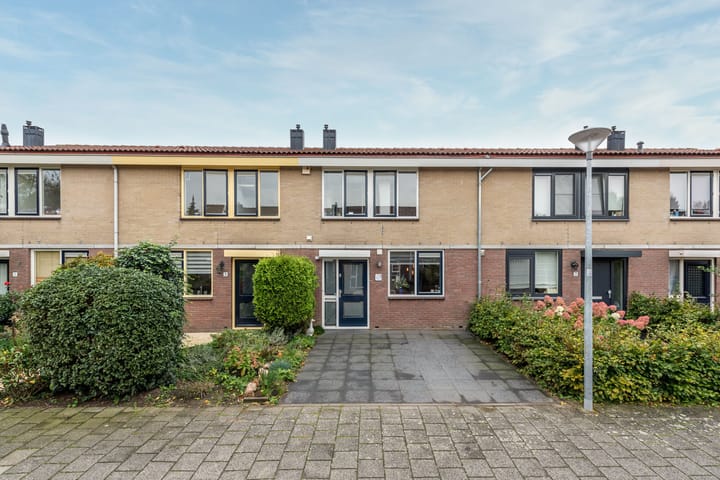 undefined main image