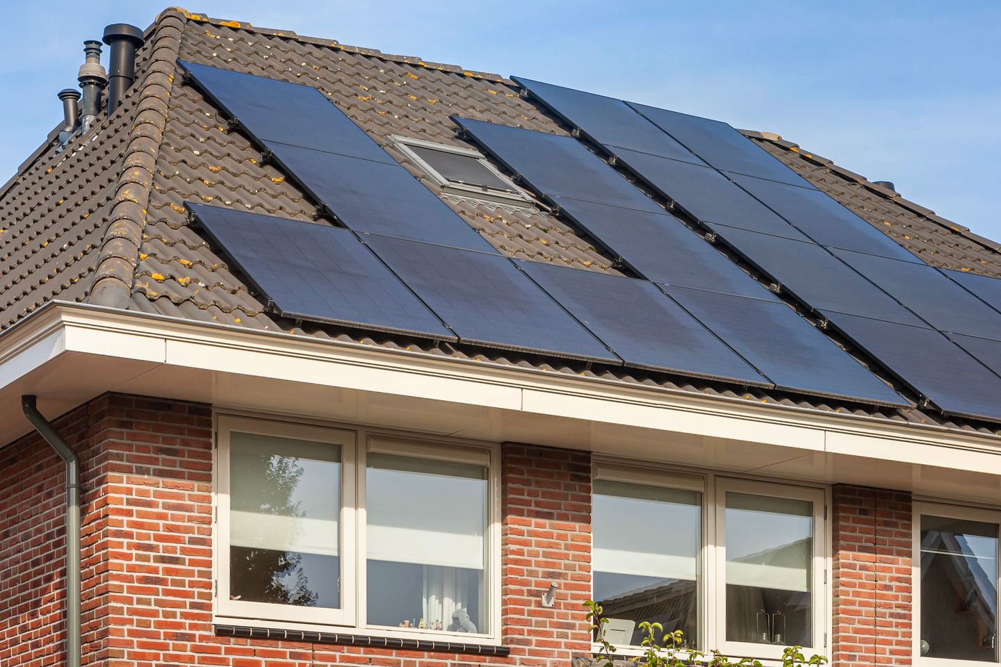 Foto 35 van De Zijpe 15