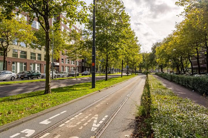 Bekijk foto 25 van Delflandseweg 257