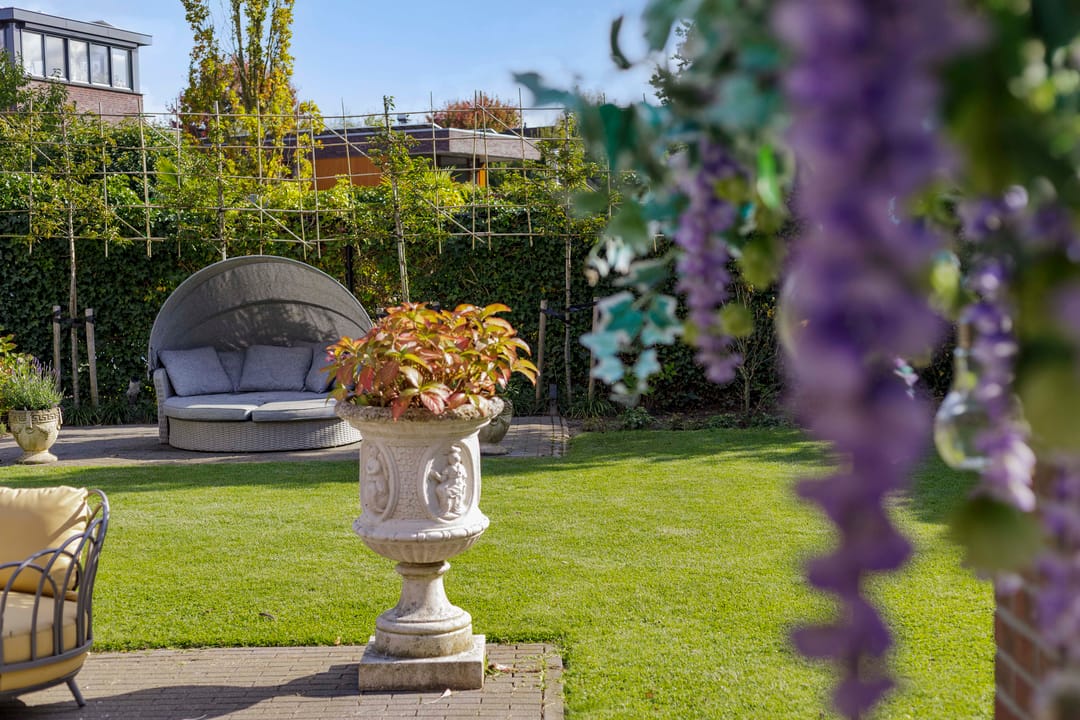 Foto 58 van Fluitenkruid 17