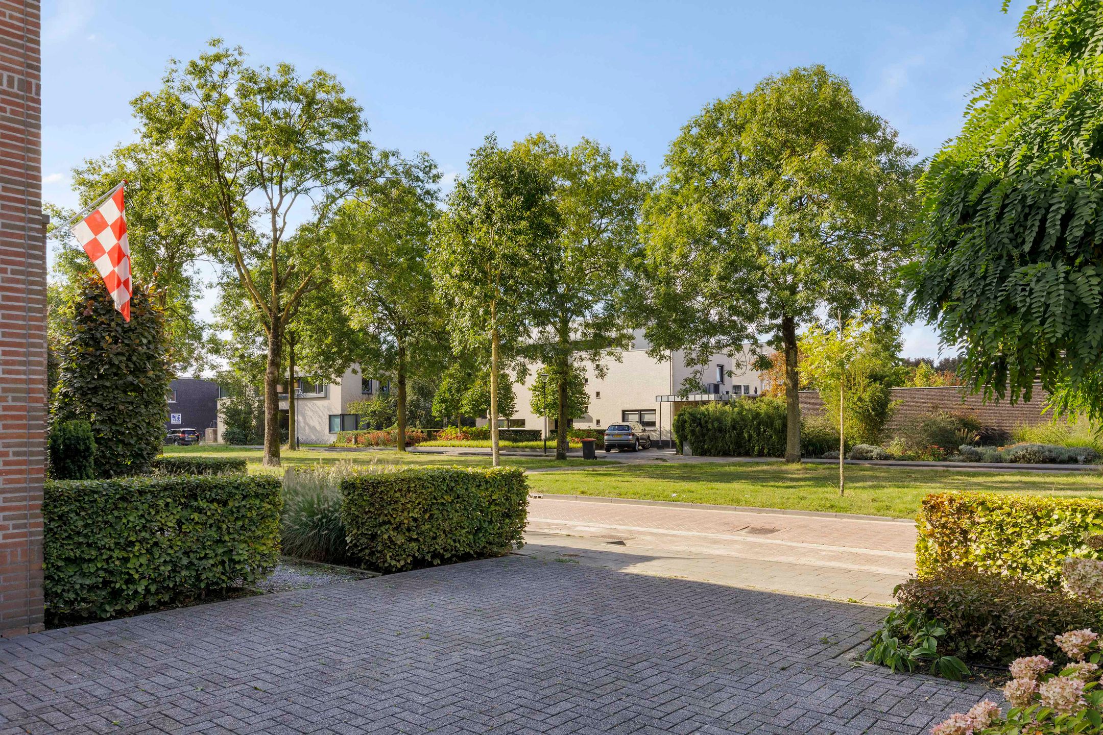 Foto 60 van Fluitenkruid 17