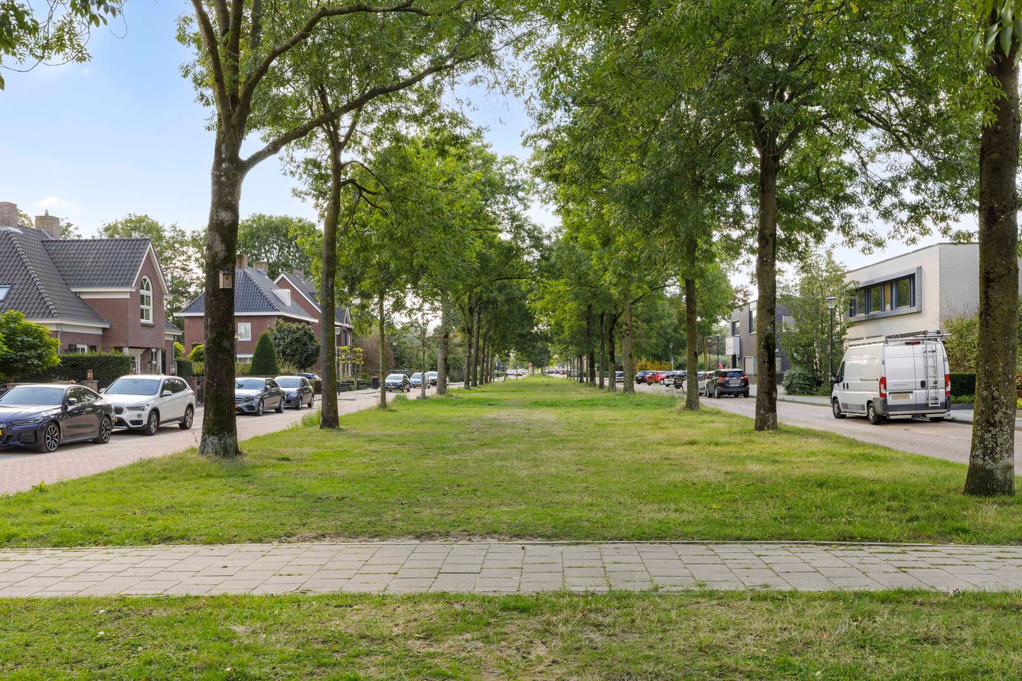 Foto 65 van Fluitenkruid 17