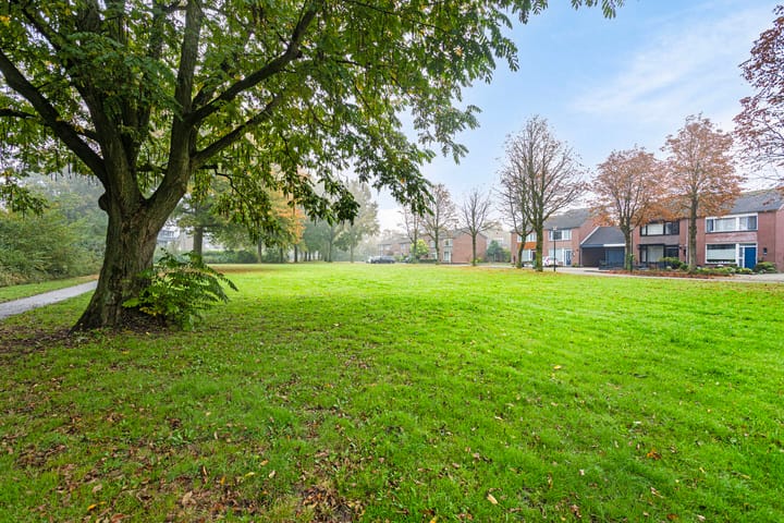 Foto 52 van Anna van Burenweg 40