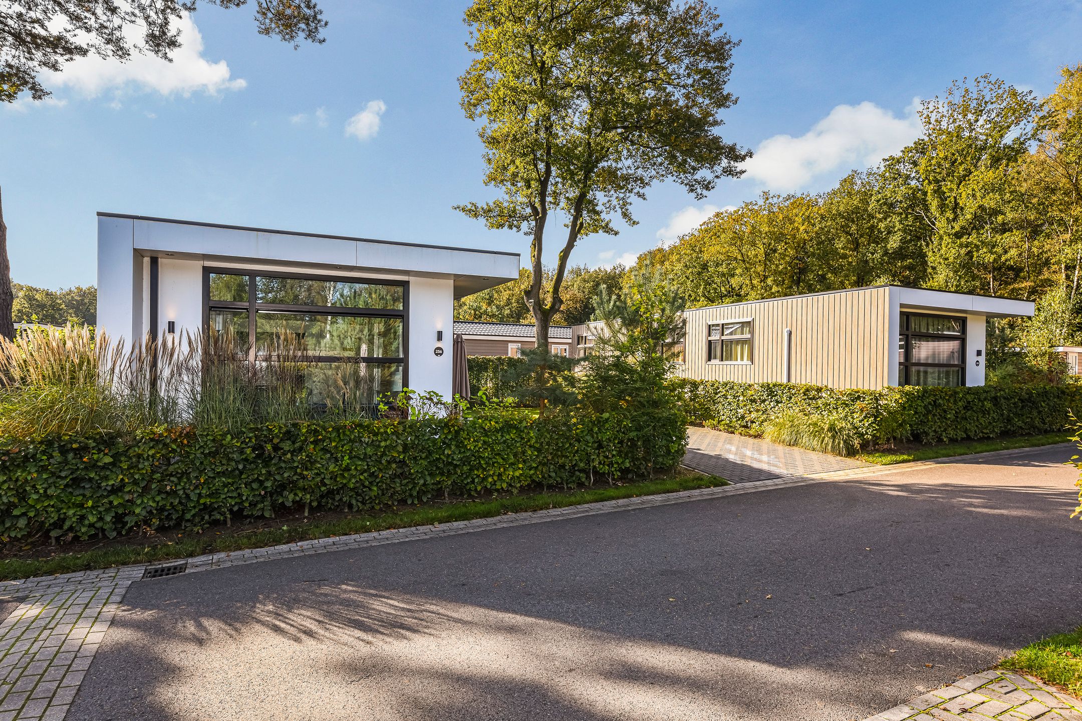 2-bedroom freehold villa in Beekbergen — photo 3 of 5