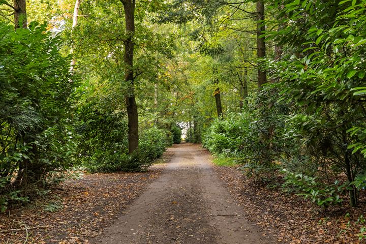 Bekijk foto 5 van Maarnse Bergweg 1-R82