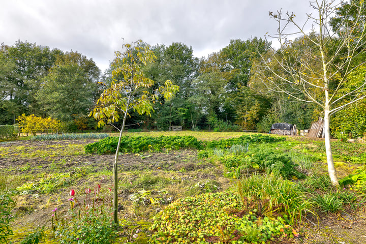 Bekijk foto 59 van Hijkerweg 19-A