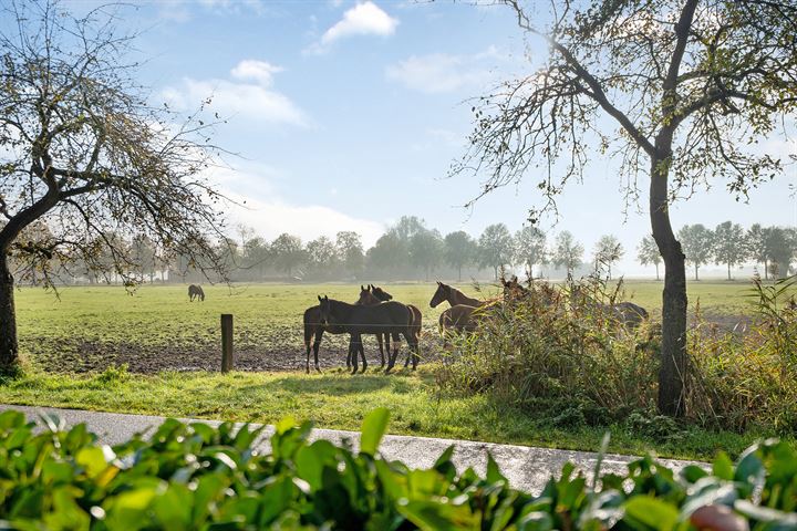 View photo 13 of Dokter Larijweg 158