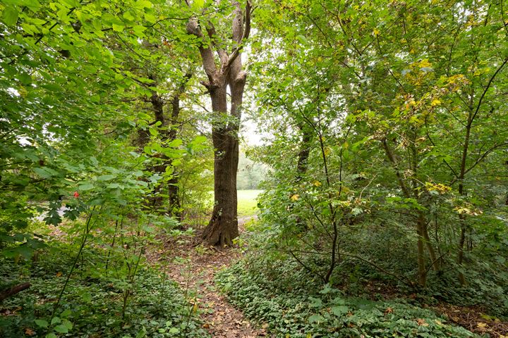 Bekijk foto 22 van Landschaplaan 81