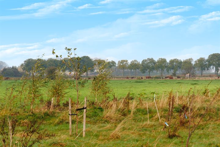 Bekijk foto 40 van Lunersingel 43