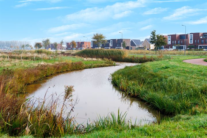 Bekijk foto 41 van Lunersingel 43