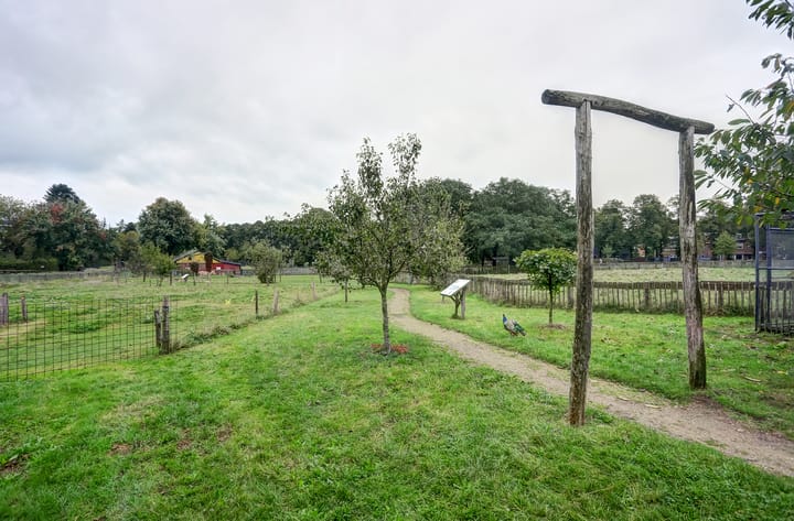 Foto 27 van Wolfstraat 39