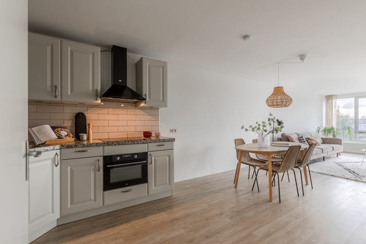 Foto 3 van Pieter Calandlaan 500