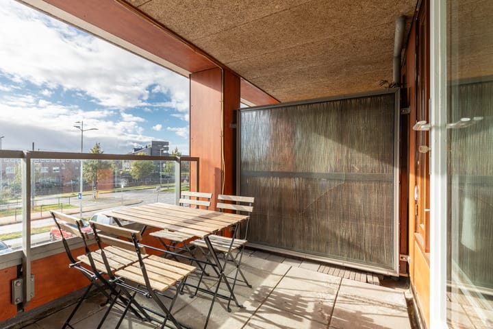 Foto 5 van Pieter Calandlaan 500