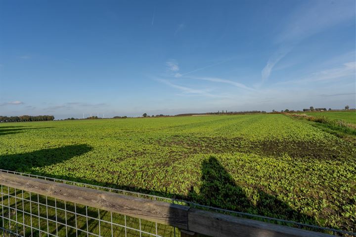 Bekijk foto 41 van Unikenstraat 72