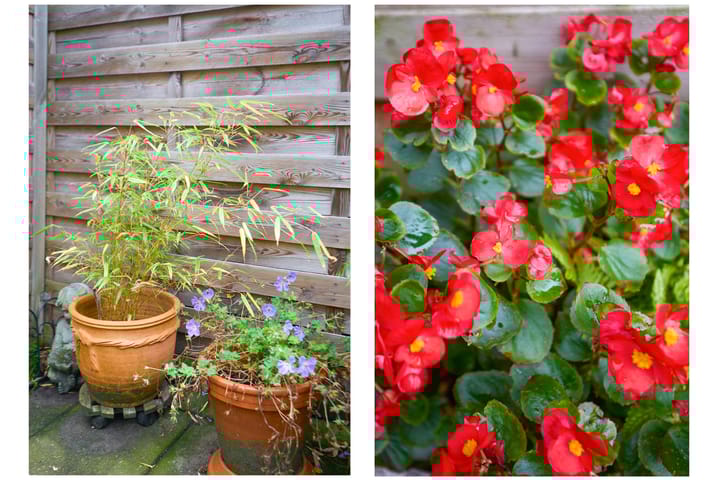 Foto 39 van Dr. Leijdsstraat 65