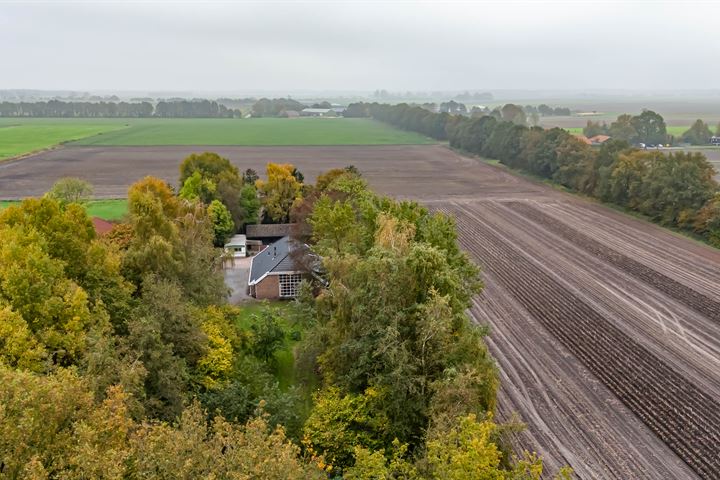 Bekijk foto 12 van Harpelerweg 51