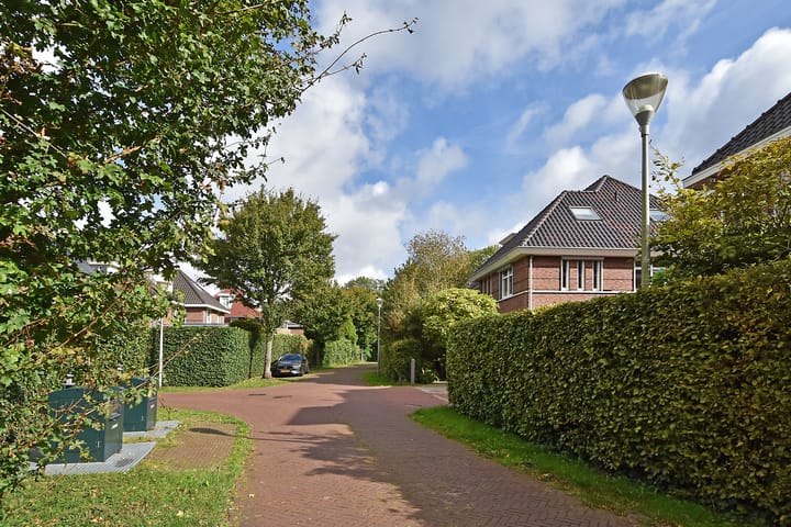 Foto 56 van Loofslinger 8