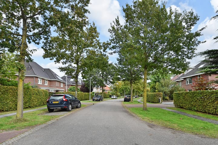 Foto 58 van Loofslinger 8