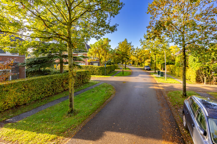 Foto 59 van Loofslinger 8