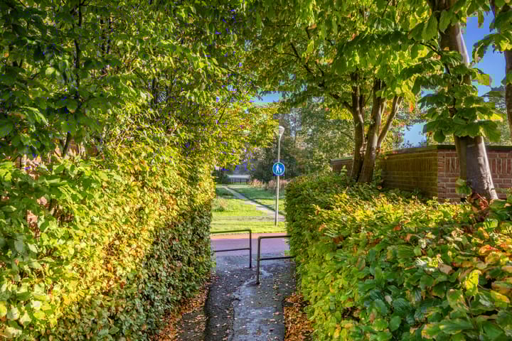 Foto 61 van Loofslinger 8