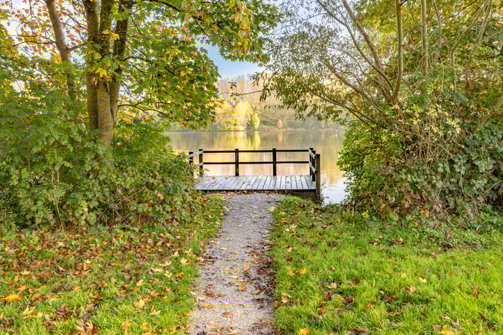 Foto 63 van Loofslinger 8