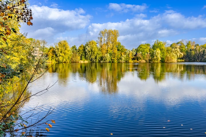 Foto 64 van Loofslinger 8