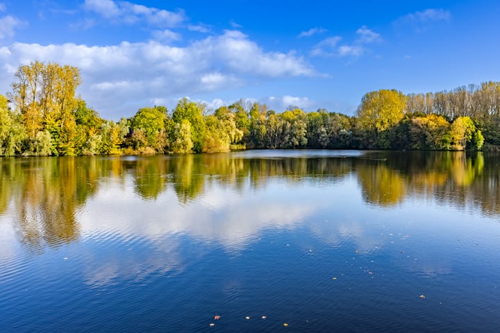 Foto 65 van Loofslinger 8