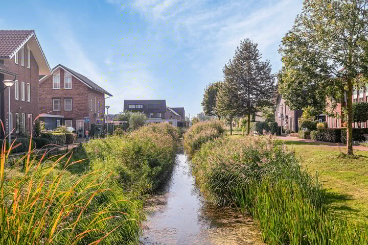 Foto 35 van Kamille-erf 28