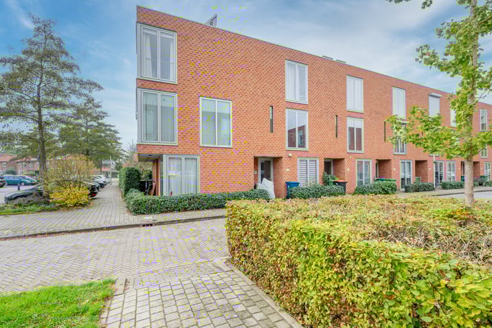 undefined main image