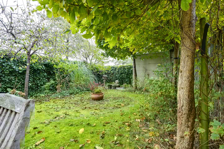 Foto 33 van Rijsenborch 365