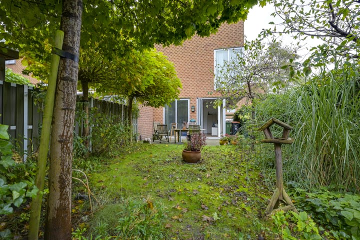 Foto 35 van Rijsenborch 365