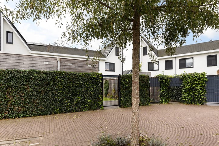 Foto 13 van Icarusblauwtje 92