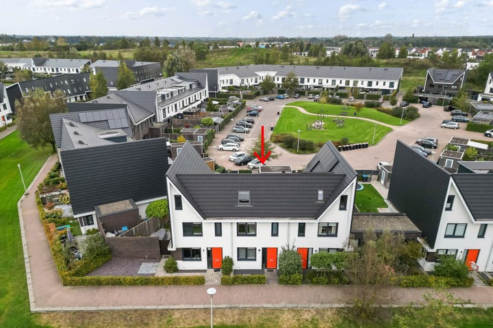 Foto 15 van Icarusblauwtje 92