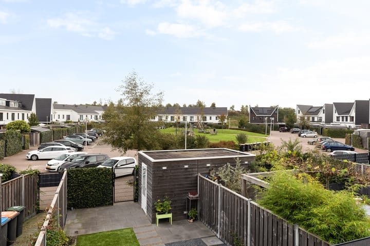 Foto 26 van Icarusblauwtje 92