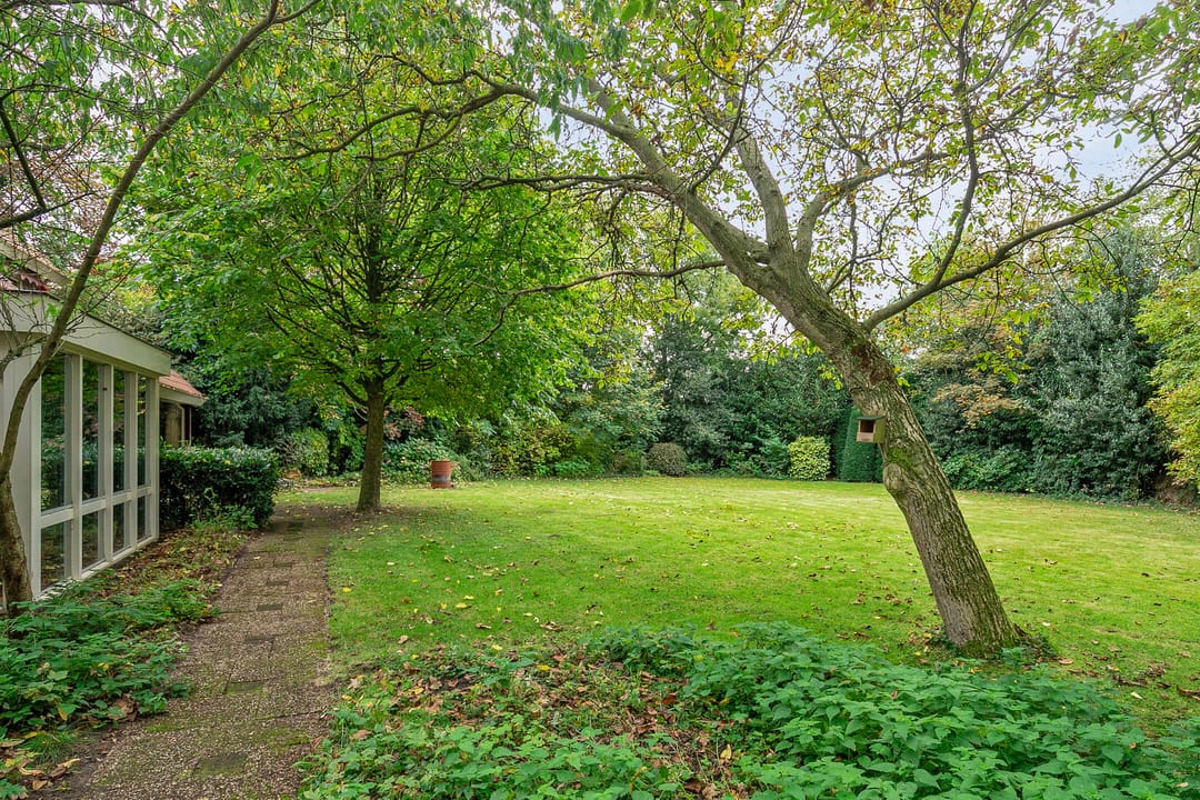 Foto 58 van Daniël de Brouwerstraat 10