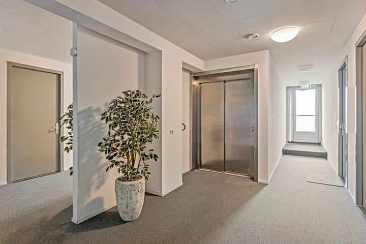 Foto 5 van Laan van Tasmanië 37