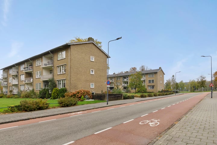 Bekijk foto 30 van Zuiderparkweg 274