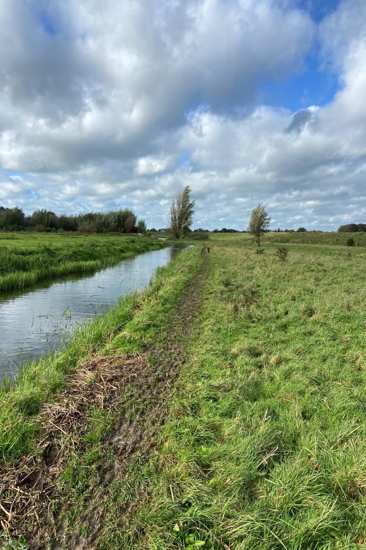 Foto 43 van Seringenstraat 18