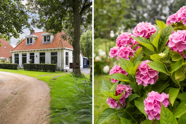 Photo 41 of Oasterein 2