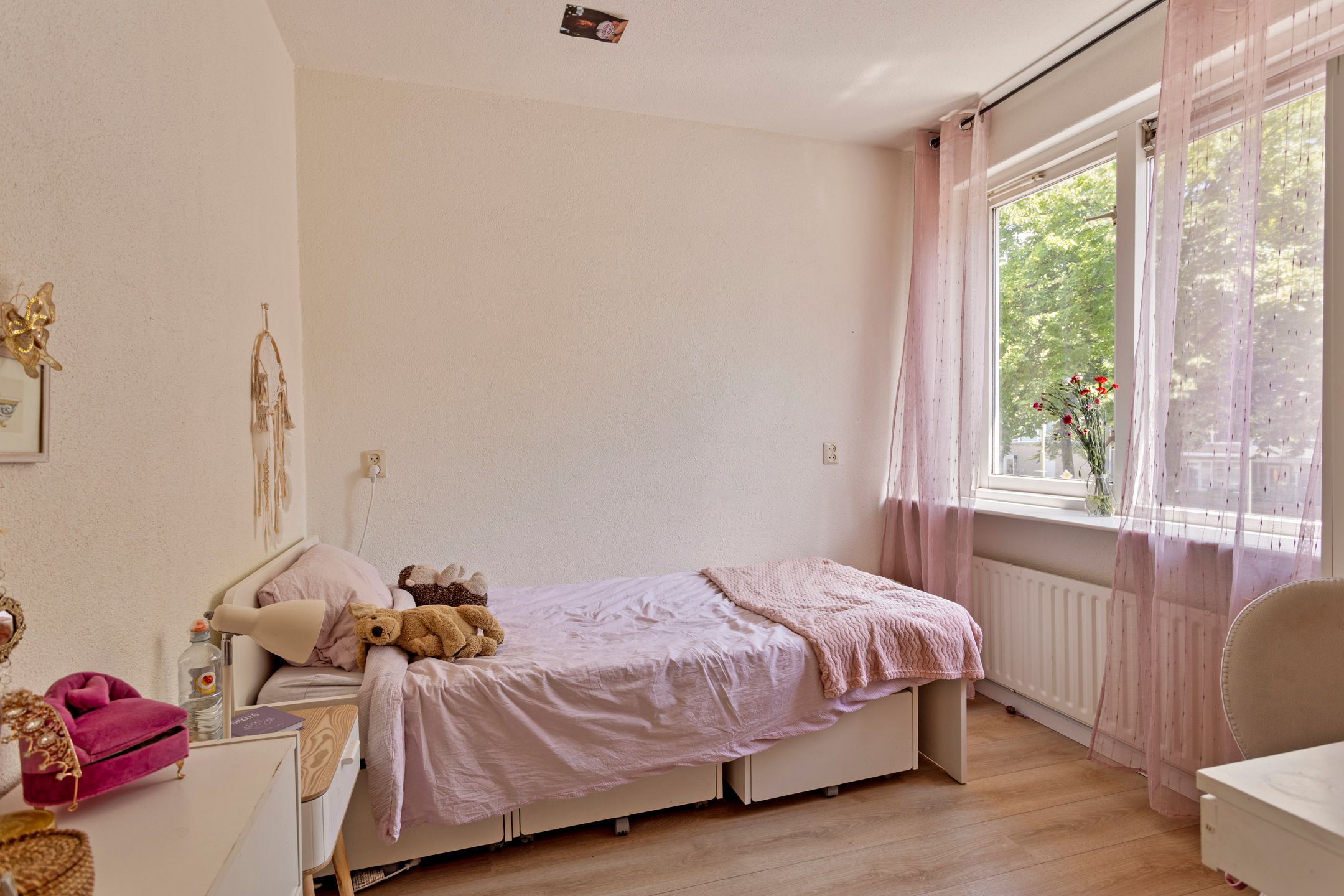 Foto 9 van Asserring 167