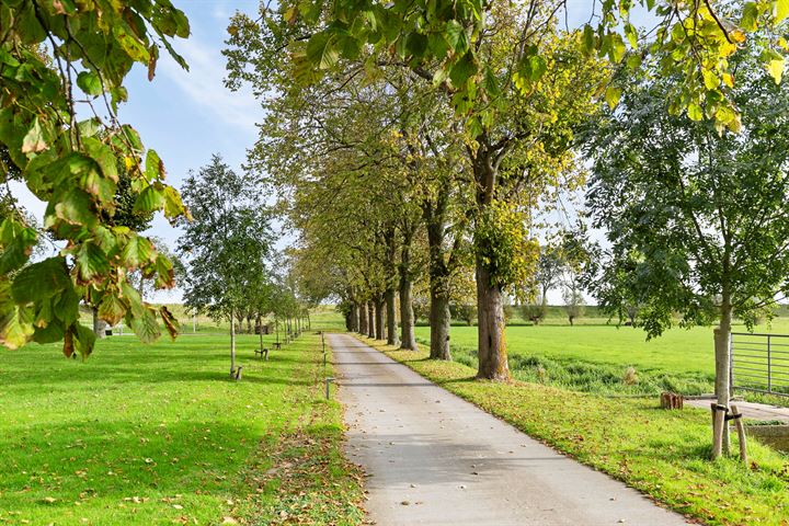 Bekijk foto 50 van Oostdijk 13-G