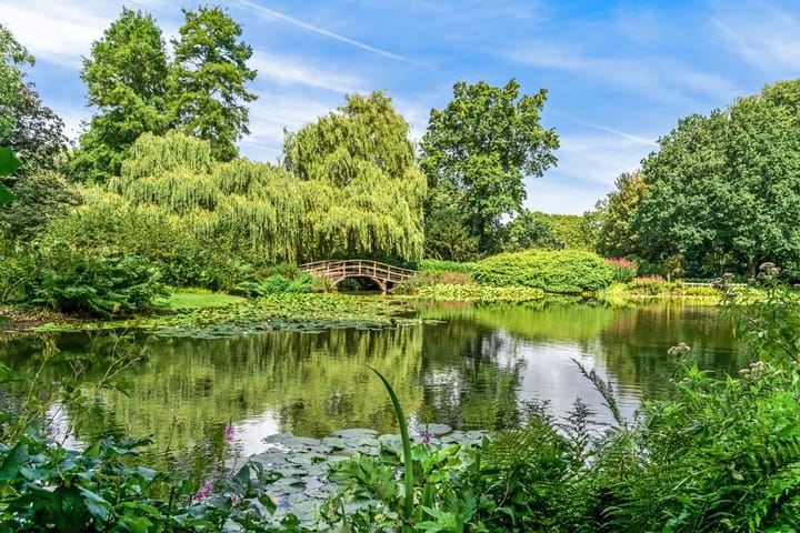 Foto 51 van Amsterdamseweg 96