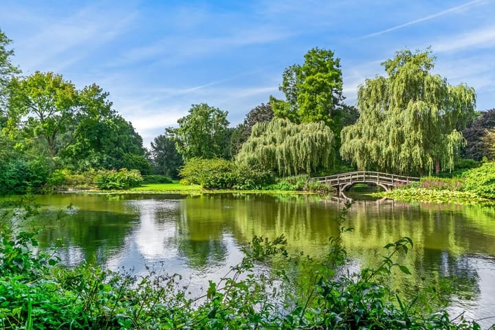 Foto 52 van Amsterdamseweg 96