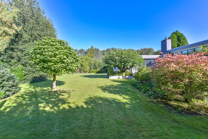 Foto 86 van De Goorns 7