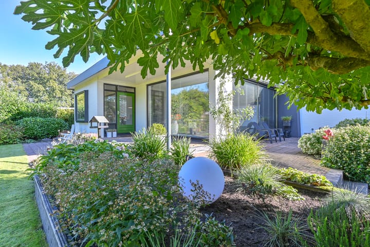 Foto 100 van De Goorns 7