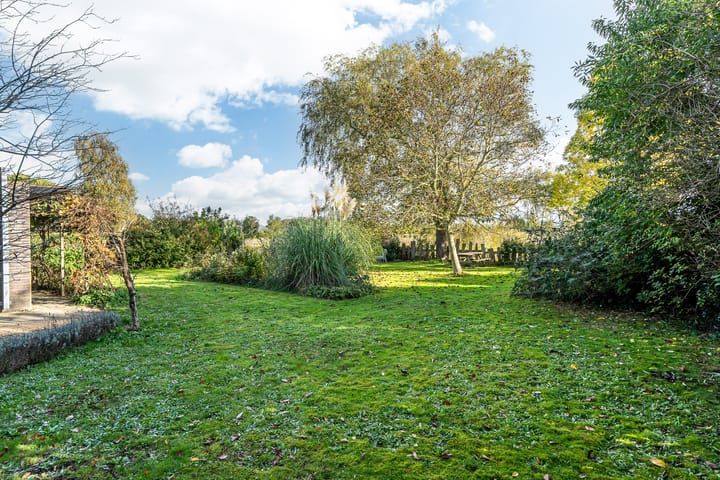 Foto 8 van Benjamin Steegengastrjitte 10