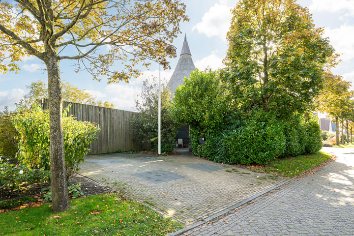 Foto 9 van Benjamin Steegengastrjitte 10